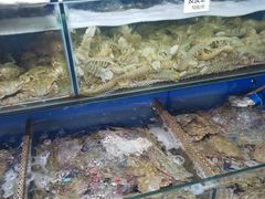 水产区-张树军海鲜(王府壹号店)