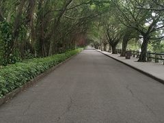 -大湾区中央湿地公园