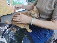 -西关竹园(荔枝湾店)