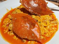 -连鹭海鲜·海肠捞饭·海胆饭(星海店)
