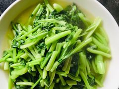 农家小青菜-梨云山居农家乐