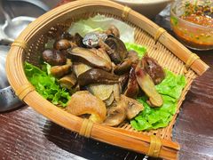 -滇野云南野生菌餐厅(陕西南路店)