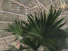 -上海南站