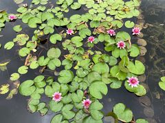 -昆山城市生态森林公园