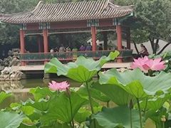 -宣武艺园