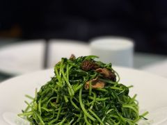 羊肚菌炒豆苗-知味观·味庄(杨公堤店)