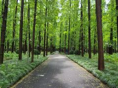 -上海怡沁园度假酒店