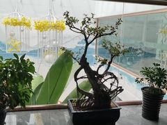 -悠斋餐厅海鲜家常菜(火车站店)