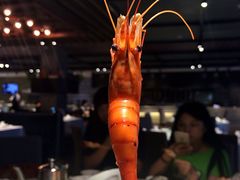 上座餐厅-上座·餐厅(阳光100店)