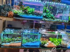 -三旗百汇商品城