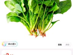 -京客隆超市(北苑店)