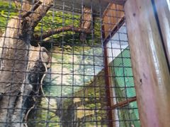 -上海大自然野生昆虫馆(东方明珠·爬宠昆虫探索中心)