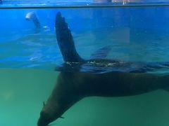 -常州海昌海洋探索馆