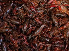 -王红军龙虾(新民路店)