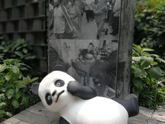 -泡桐树街