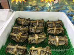 -绿雅居原生态农庄(小涌店)