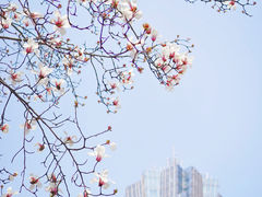 -西湖文化广场