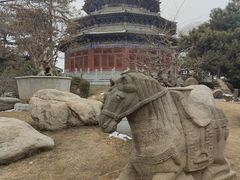 -中国唐苑