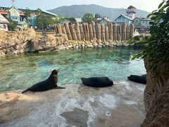 -珠海长隆海洋王国