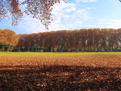 -河南省黄河迎宾馆