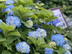 -横滨红砖仓库1号馆