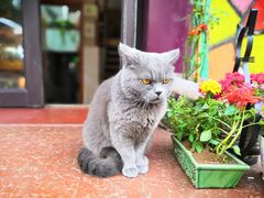 -Rabbit Cafe私房西餐甜点咖啡(栖霞路店)