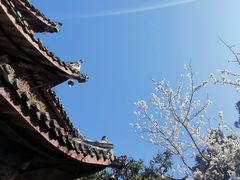 -七曲山风景区