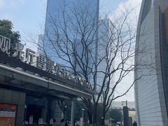 -上海中心大厦