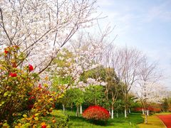 -杭州城北体育公园