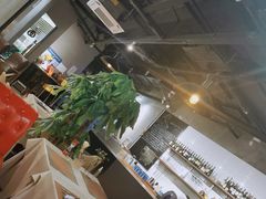 大堂-BONAZZA 意大利餐厅