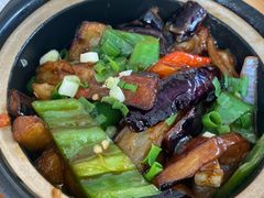 -常来老白莲鹅饭店(老城店)