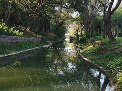 -北坞公园