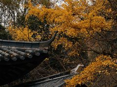 -五泄景区