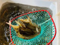 -水山海鲜水产店