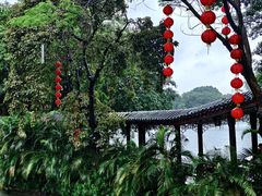 -荔湾湖公园