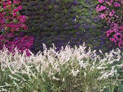 -重庆市江北嘴中央商务区中央公园