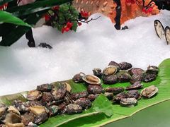 -亚马逊环球美食百汇(新城吾悦广场店)