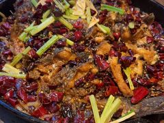 -老板恋上鱼(恒隆广场店)