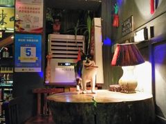 -民谣未来吧