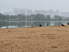 -金沙湖公园