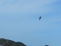 -青岛沙子口国家中心渔港