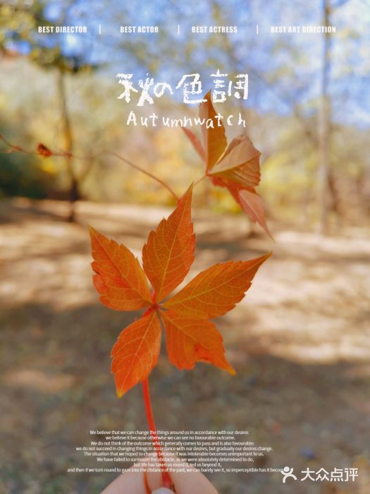 十三陵水库图片