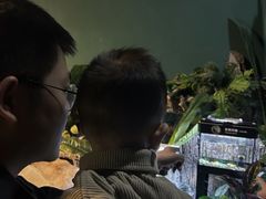 -重庆欢乐海底世界