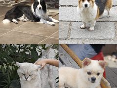 -辛庄国际文化艺术区