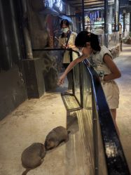 -酷嗒动物文化乐园(cutezoo西溪乐天城店)