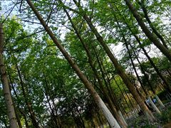 -艾溪湖湿地公园