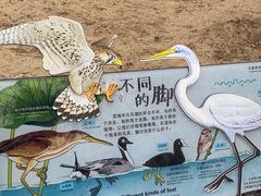 -绿堤公园