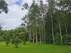 -中国科学院西双版纳热带植物园