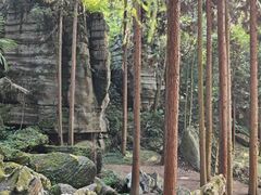 -梭布垭石林景区