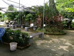 -小象钓虾·营地烧烤(洛溪店)